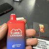 LANA拋棄式5000口：圖片 3
