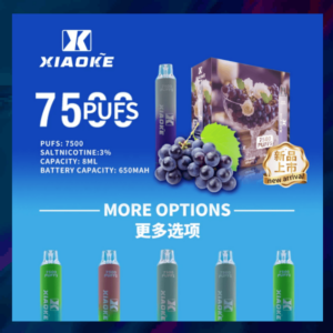 【L倉庫】梟客7500口拋棄式（發光設計，爆款推薦！）